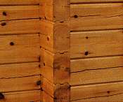 ���O�f��